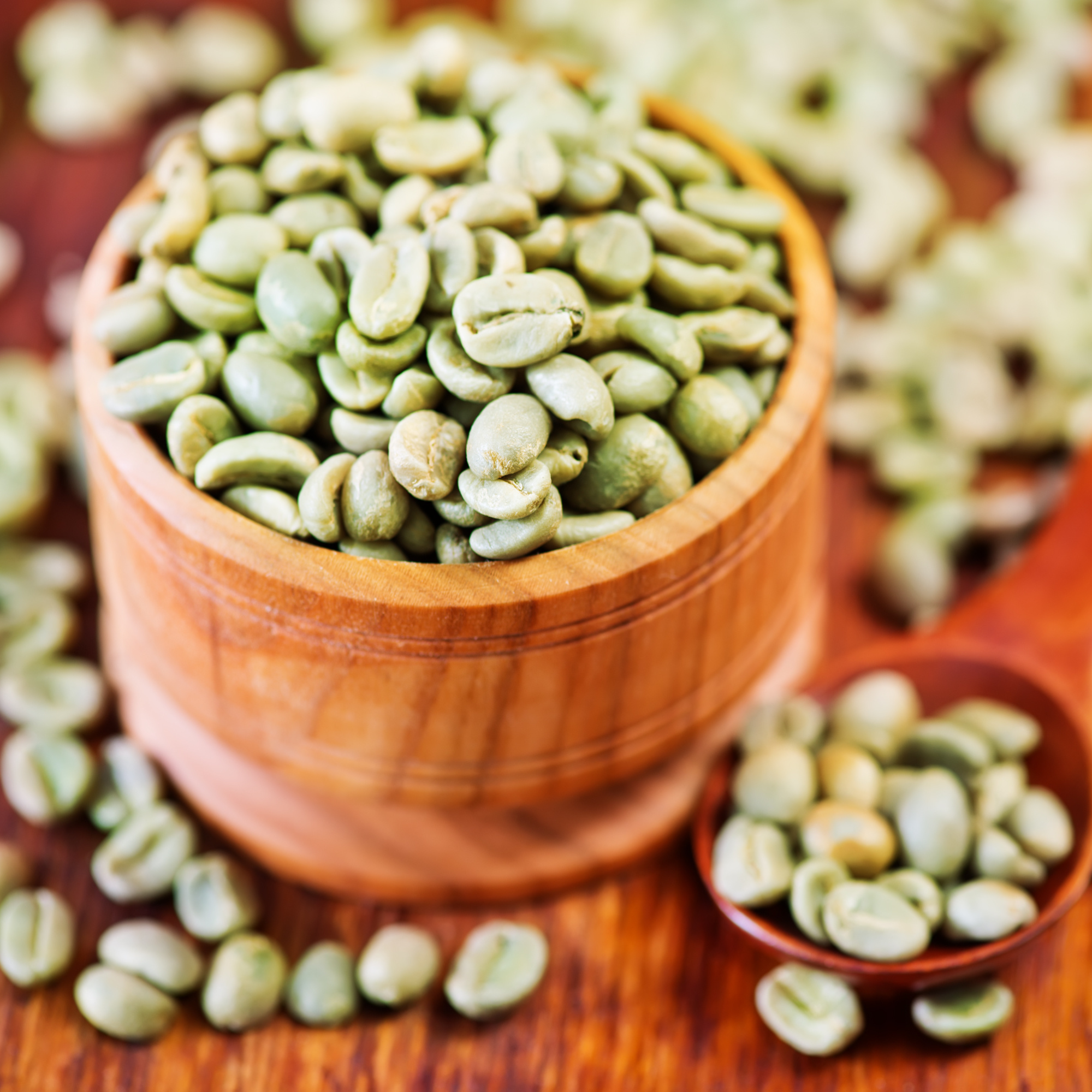 commercial robusta green coffee bean commercial robusta green coffee bean